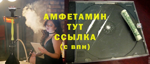 дживик Богородицк