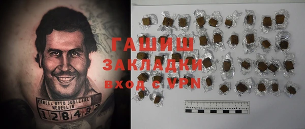 дживик Богородицк