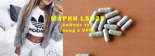 spice Богданович