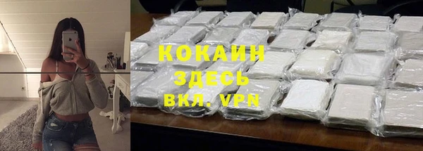 spice Богданович