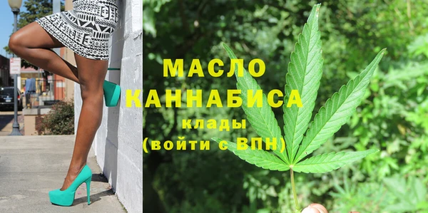 дживик Богородицк