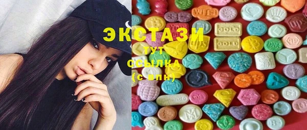 дживик Богородицк