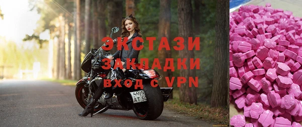 дживик Богородицк