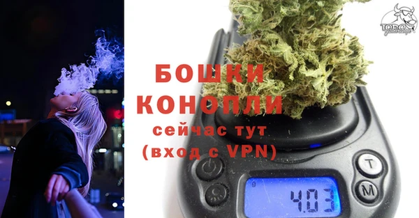 spice Богданович