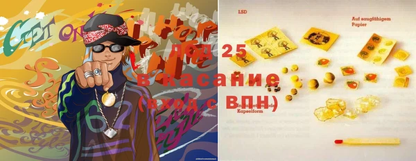 дживик Богородицк