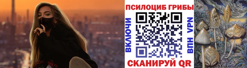 Псилоцибиновые грибы Magic Shrooms  блэк спрут ССЫЛКА  Костомукша 